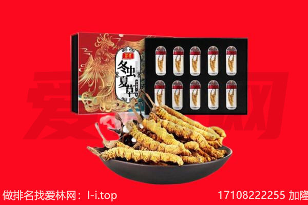湖州长兴县回收虫草.jpg